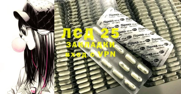 ГАЛЛЮЦИНОГЕННЫЕ ГРИБЫ Козловка