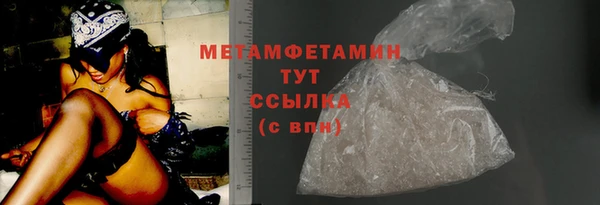 ГАЛЛЮЦИНОГЕННЫЕ ГРИБЫ Козловка