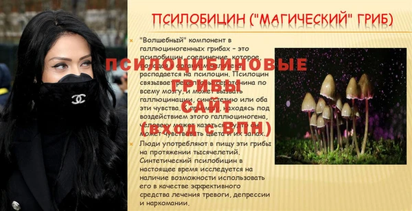 mdpv Кодинск