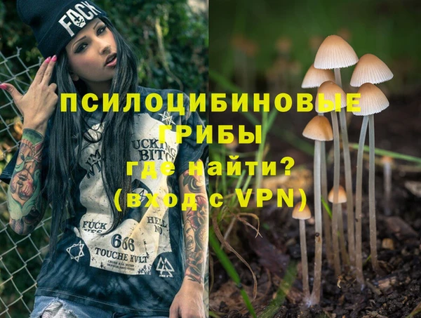 mdpv Кодинск