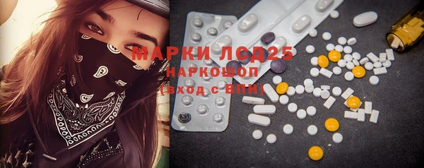 ГАЛЛЮЦИНОГЕННЫЕ ГРИБЫ Козловка