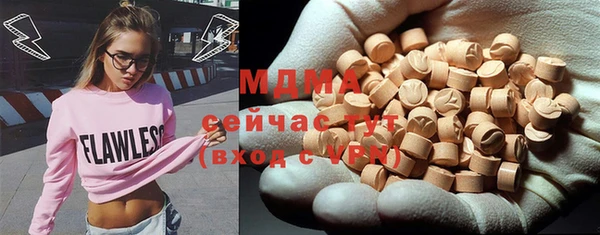 ГАЛЛЮЦИНОГЕННЫЕ ГРИБЫ Козловка
