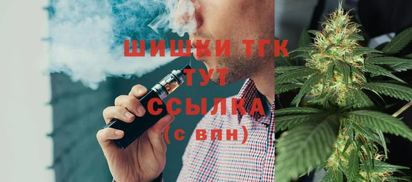 ГАЛЛЮЦИНОГЕННЫЕ ГРИБЫ Козловка