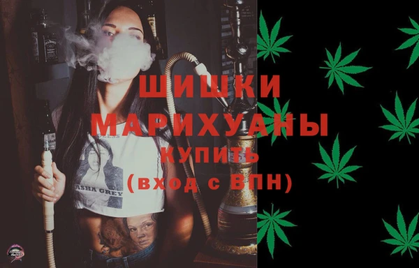 шишки Иноземцево