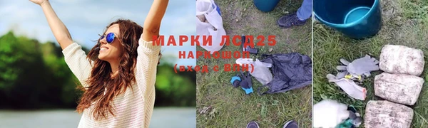 шишки Киренск